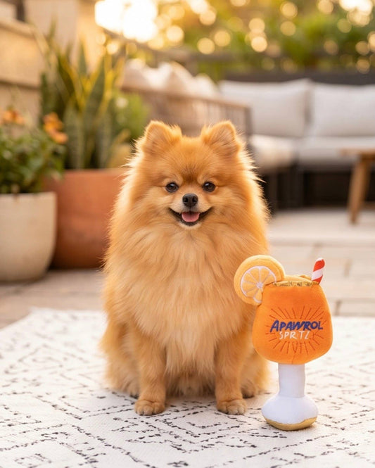 Jouet à couinement Apawrol Spritz pour chien
