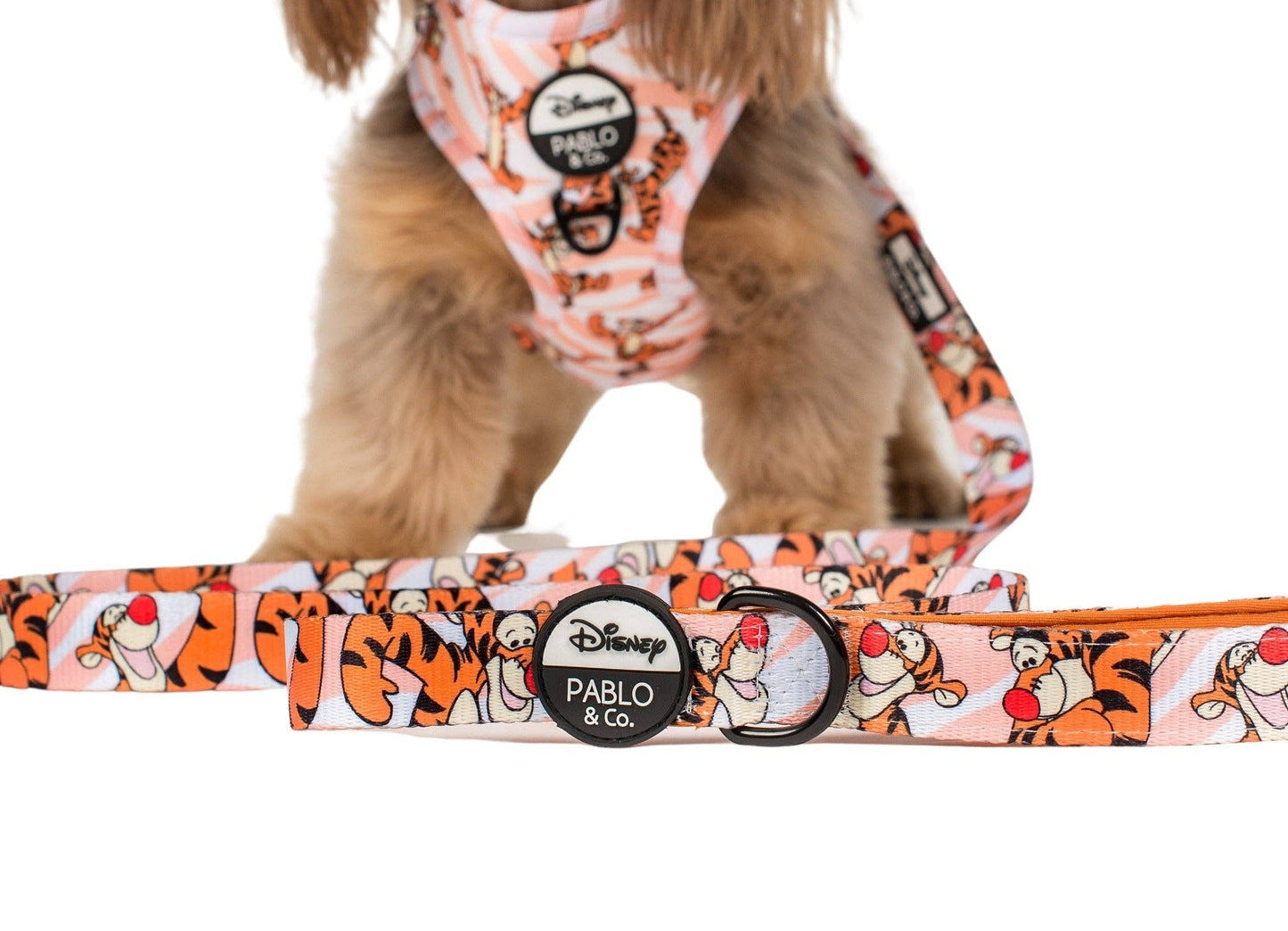 Le tigre unique en son genre : laisse pour chien: 2.5cm
