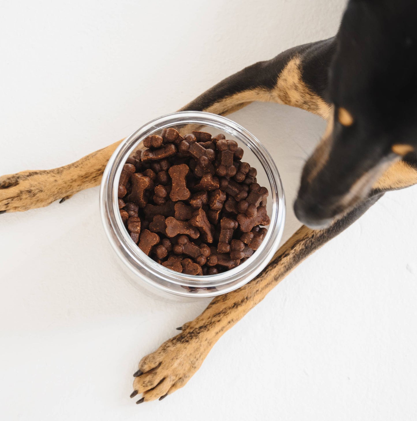 Golosinas para perros Gizzls Soft Bites "La Morada" (150g)