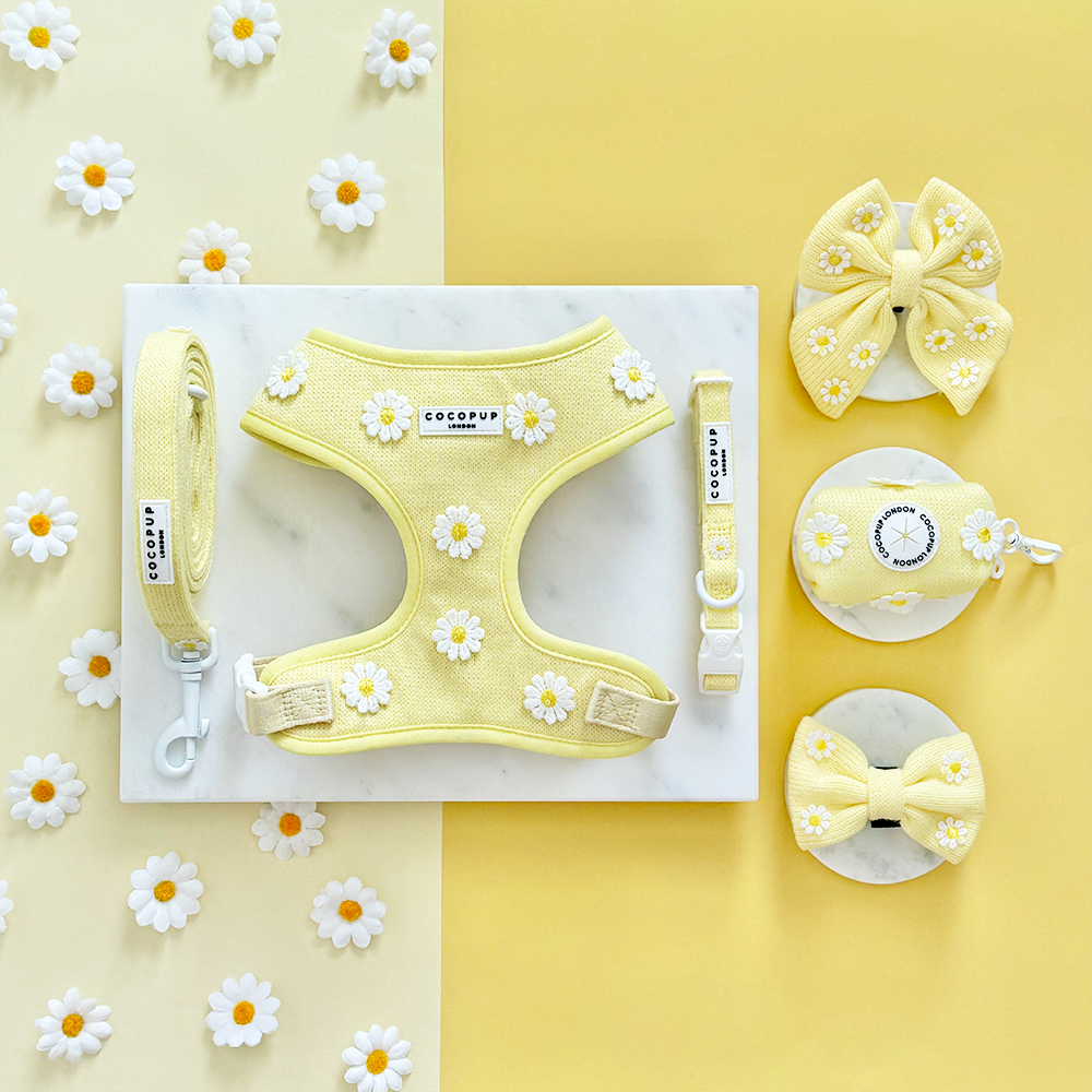 Collar Buttercup Pup: Mediano