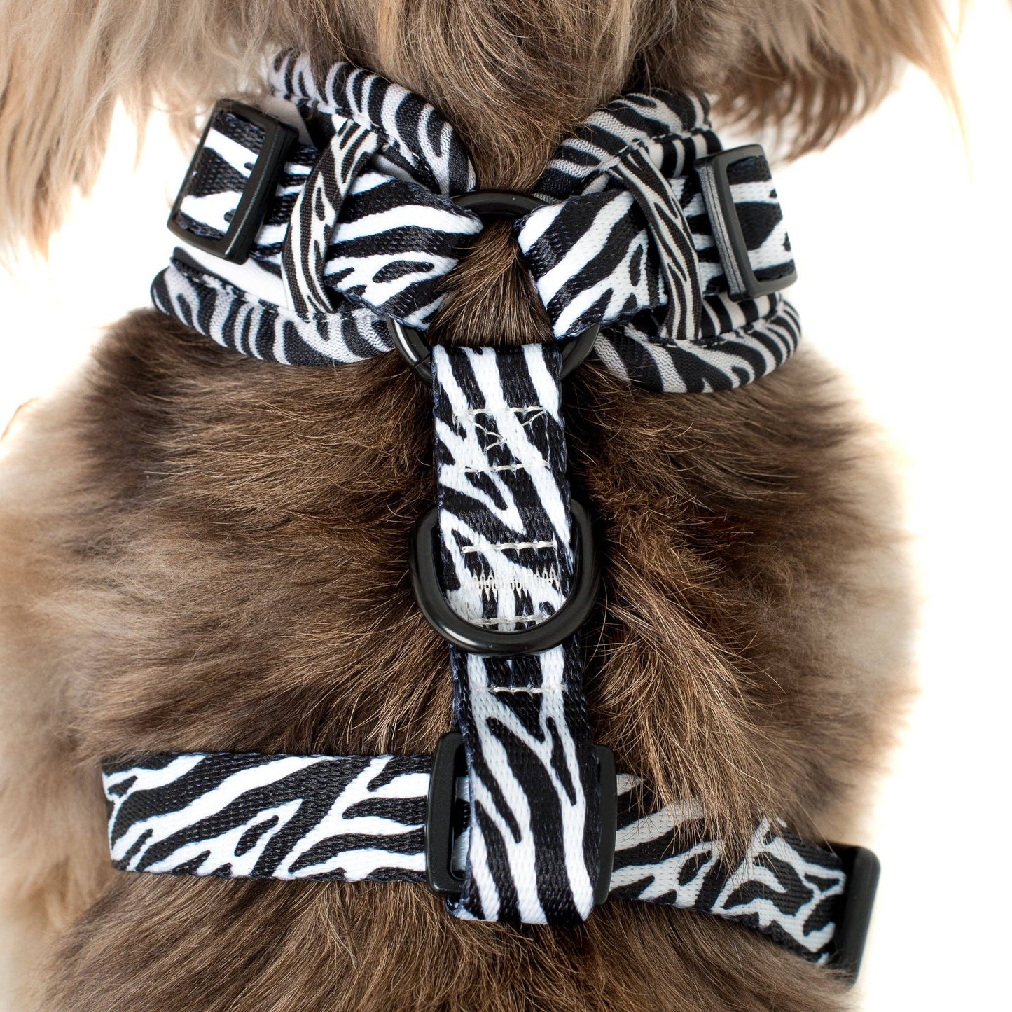 Black & White Zebra : HARNAIS AJUSTABLE POUR CHIEN