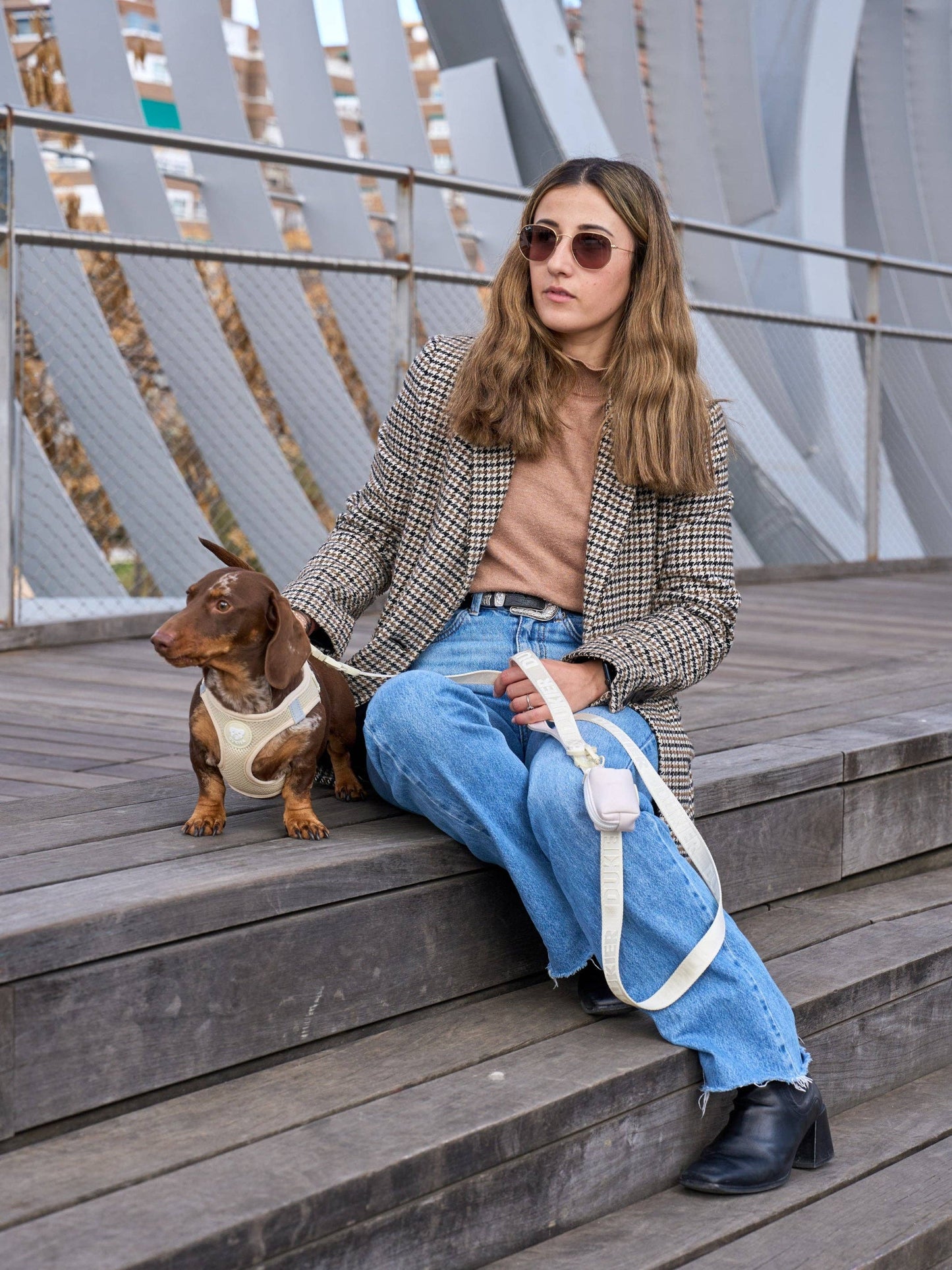 ARNÉS CORPORAL PERRO BEIGE: M
