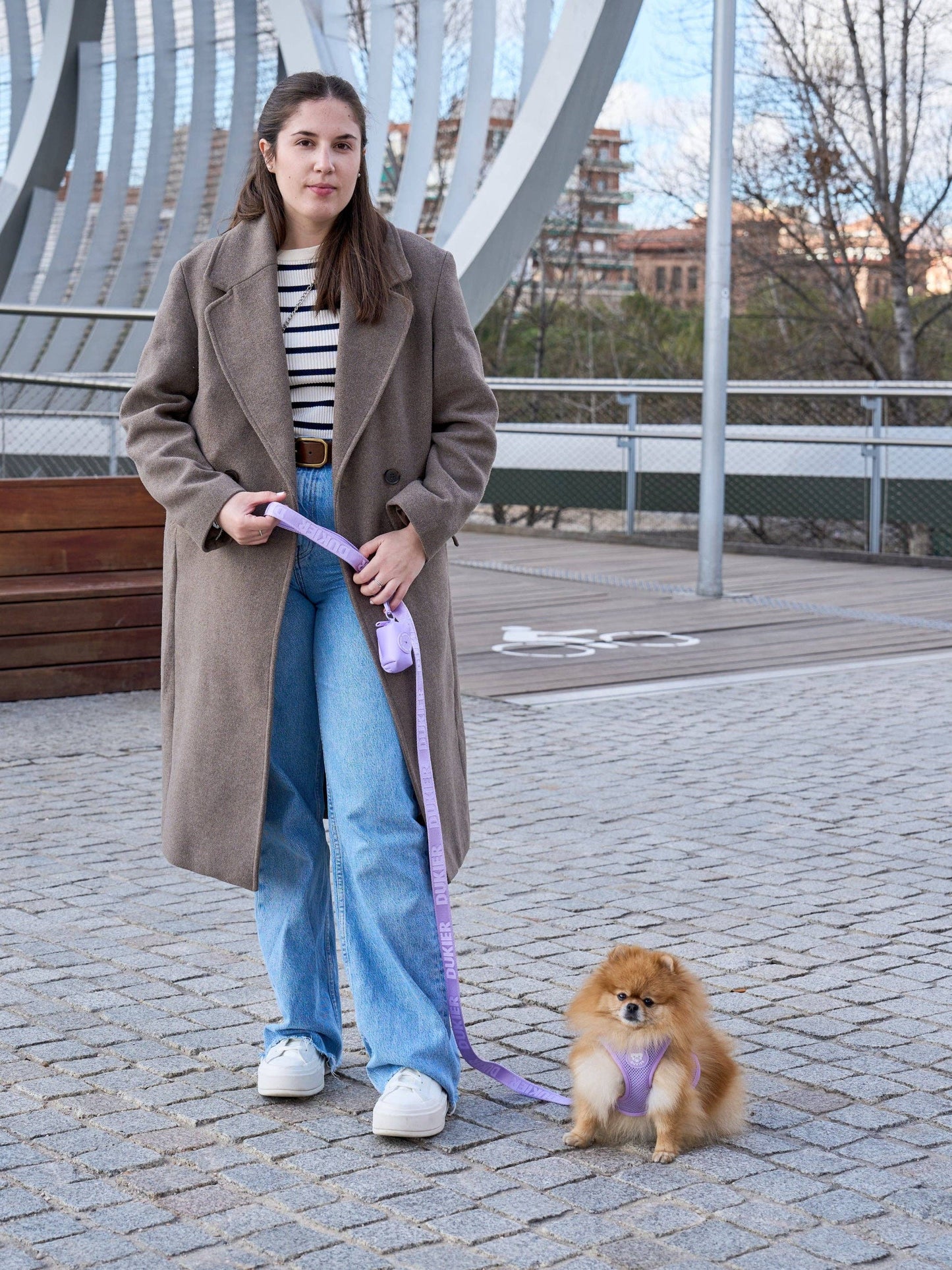 ARNÉS CUERPO PERRO VIOLETA: XXS