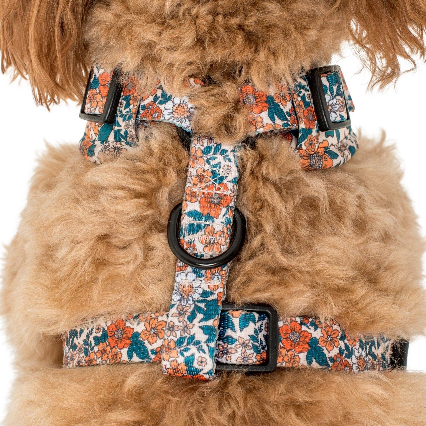Wildflowers : ARNÉS AJUSTABLE PARA PERRO