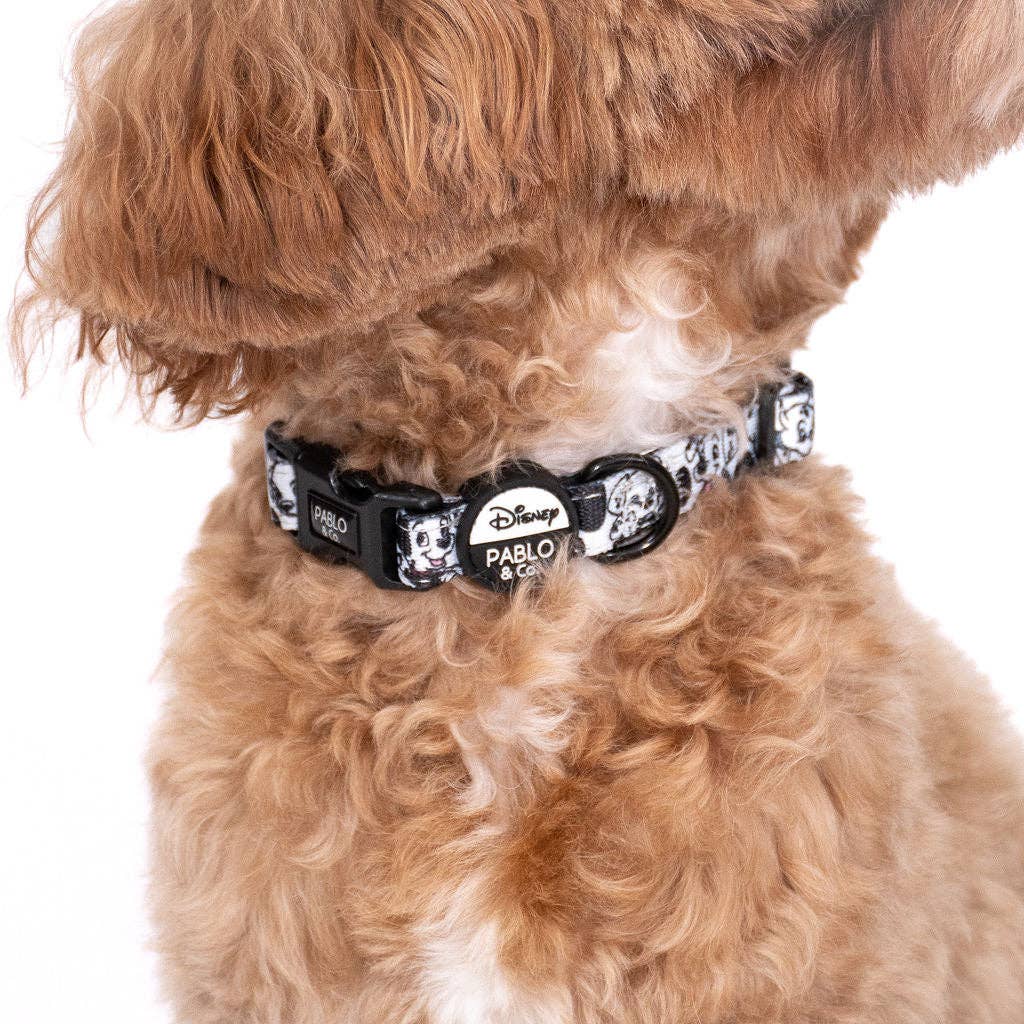 101 Dálmatas: Collar para perros: S