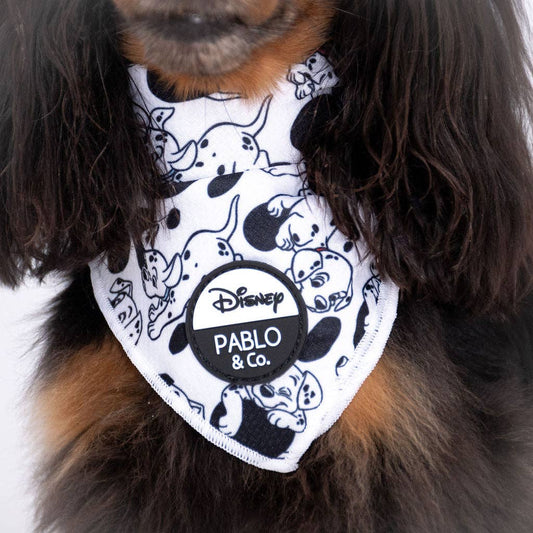 101 Dálmatas: Bandana para perro