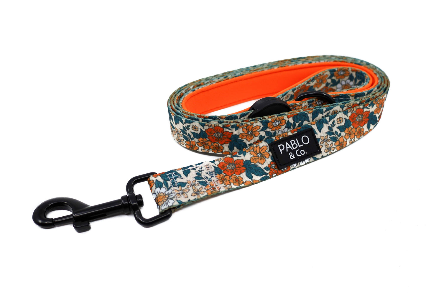 Wildflowers : CORREA PARA PERRO: 2.5cm