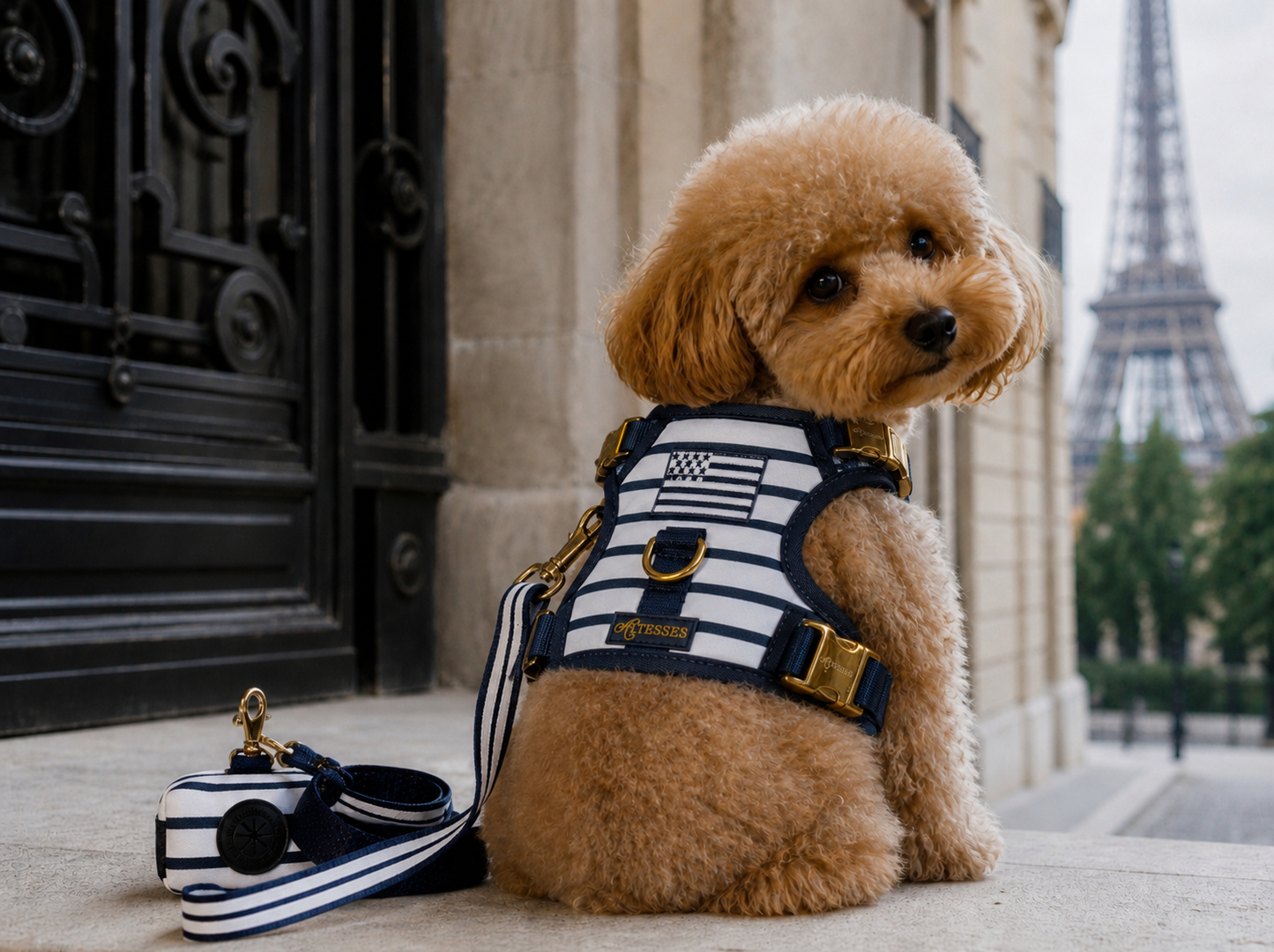 HARNAIS BRETON BLUE