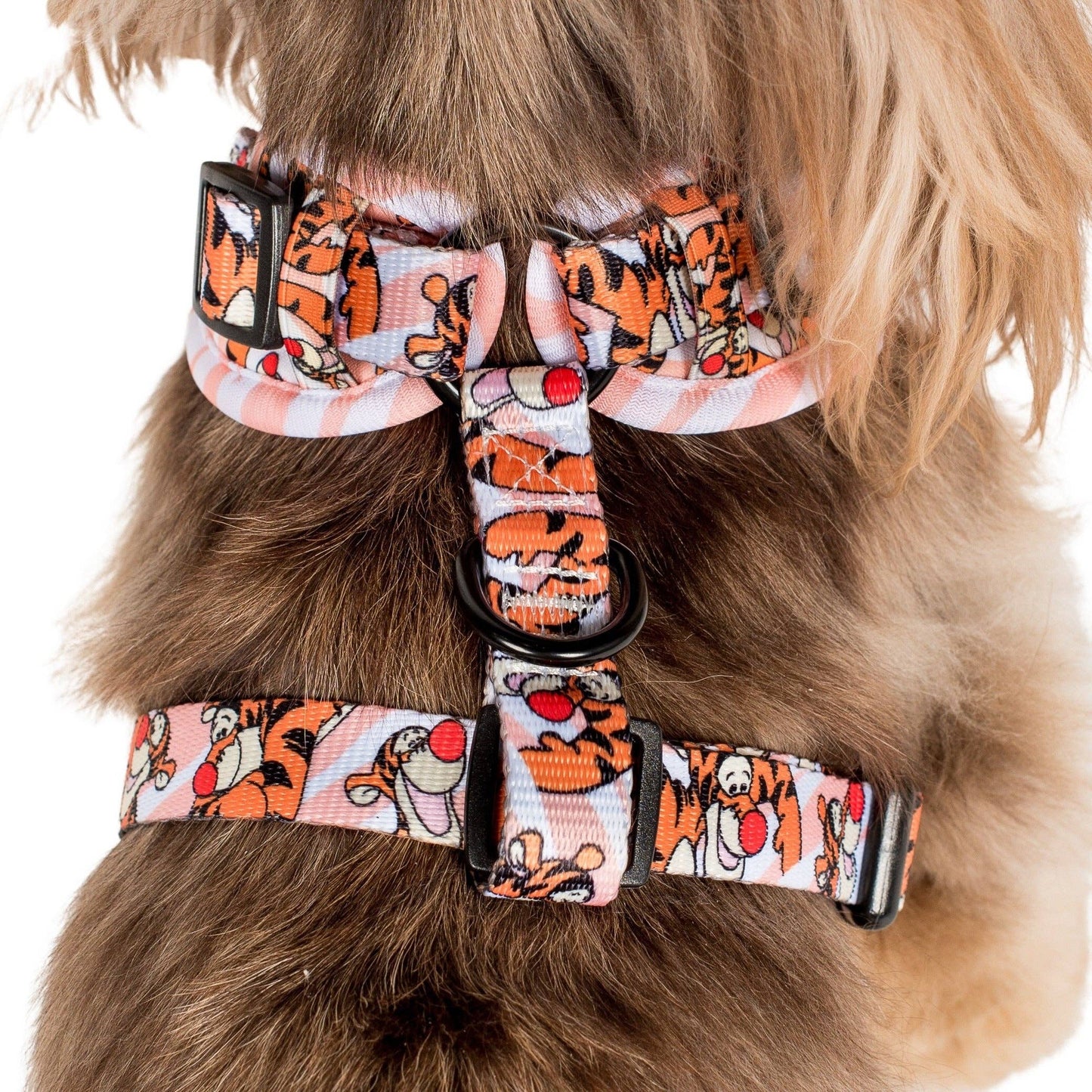 Le tigre unique en son genre : harnais ajustable: Petit