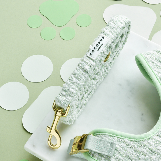 Correa de tweed texturizado con matcha
