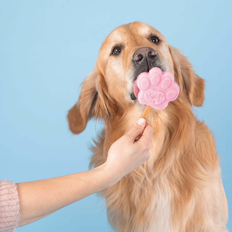 Mezcla de fresa para helado de perro