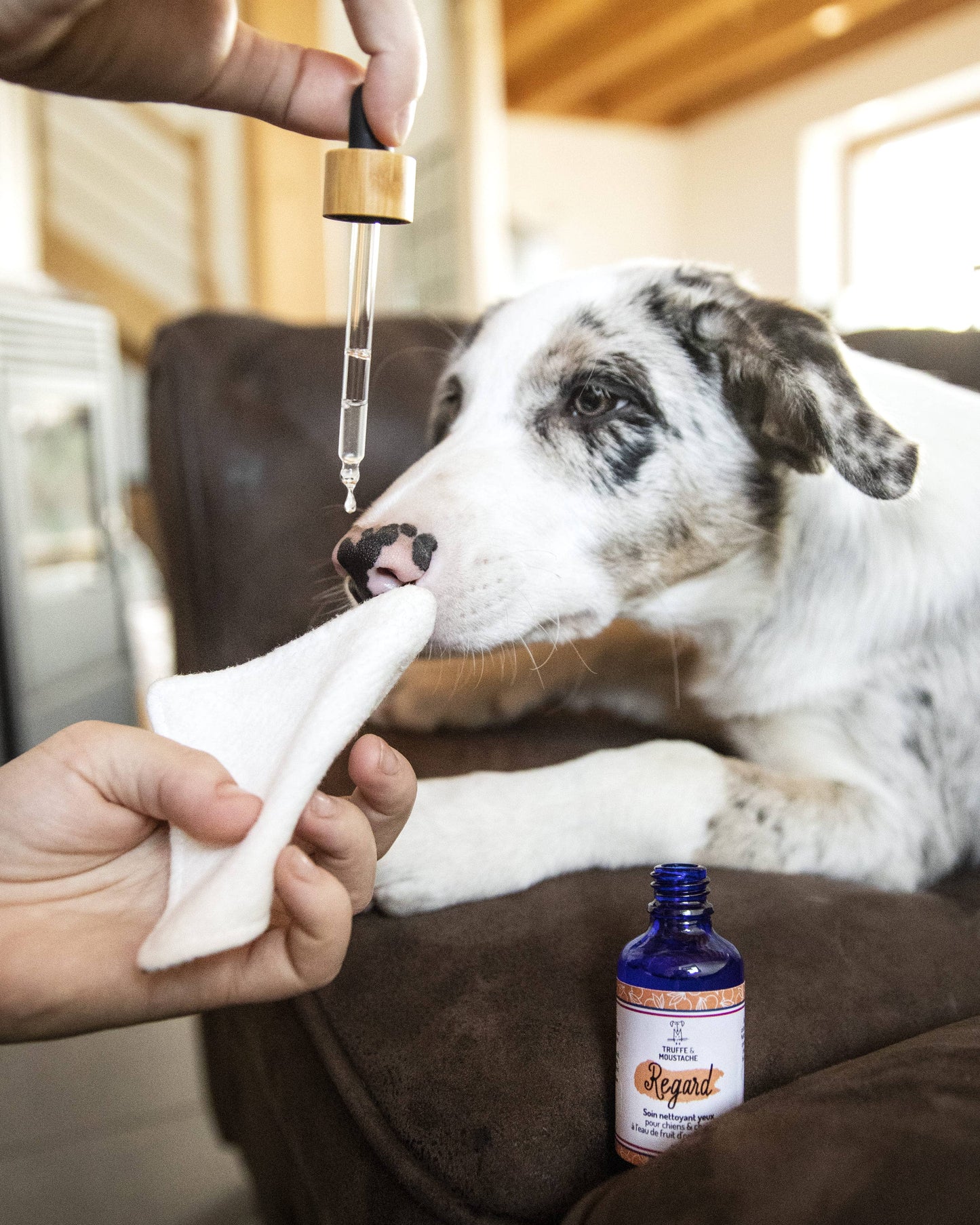 Cuidado Limpiador de ojos para perros y gatos, "Mirada"
