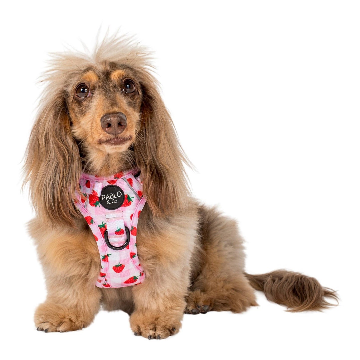Strawberry Fields : harnais pour chien No Pull Adventure: S