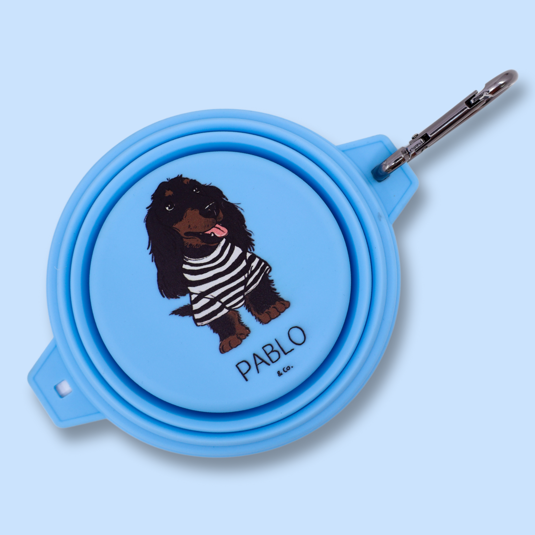 Cuenco plegable para agua/comida para perros: Lavanda