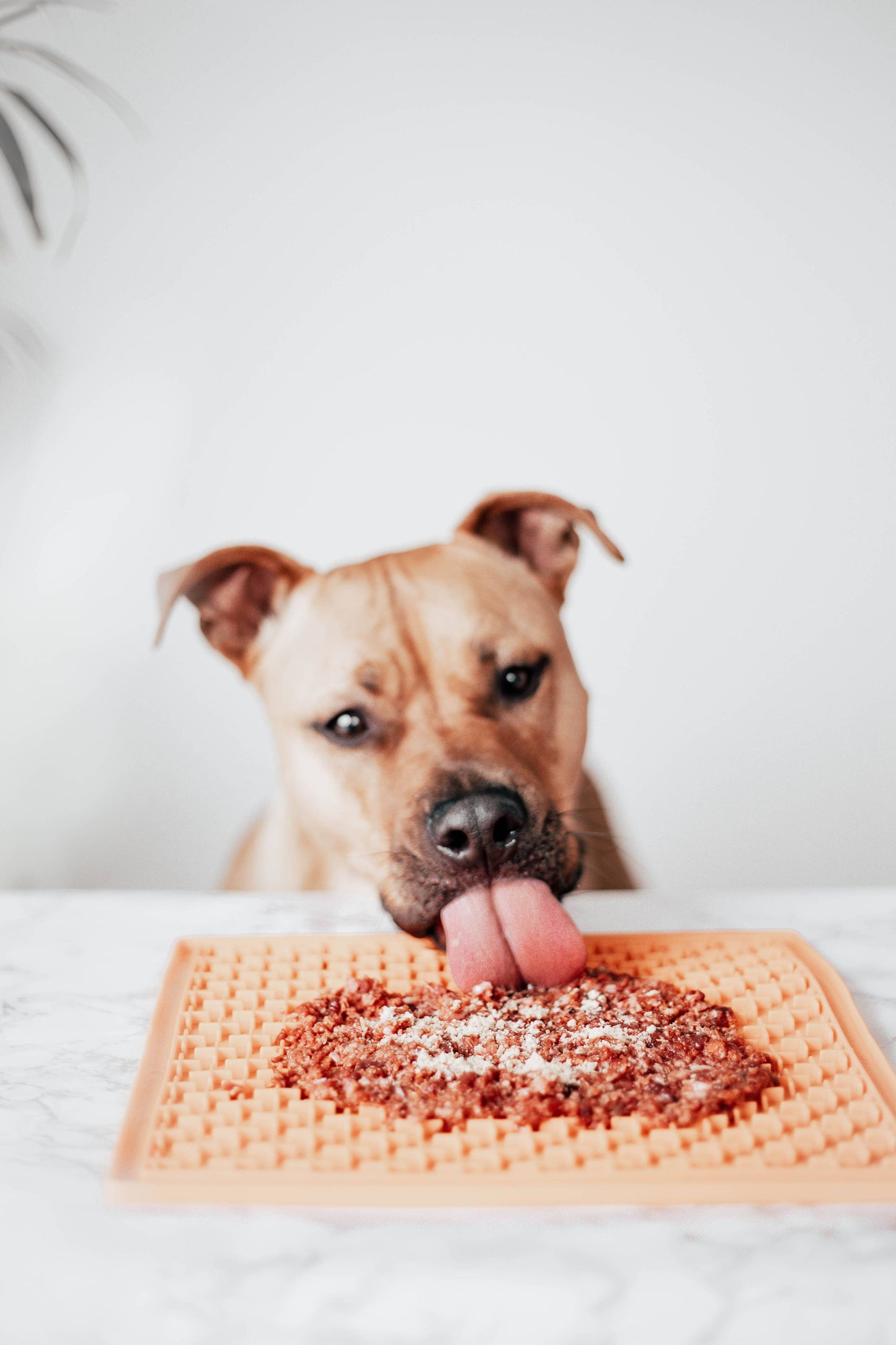 Topper para perros y gatos - Pechuga de Pollo.