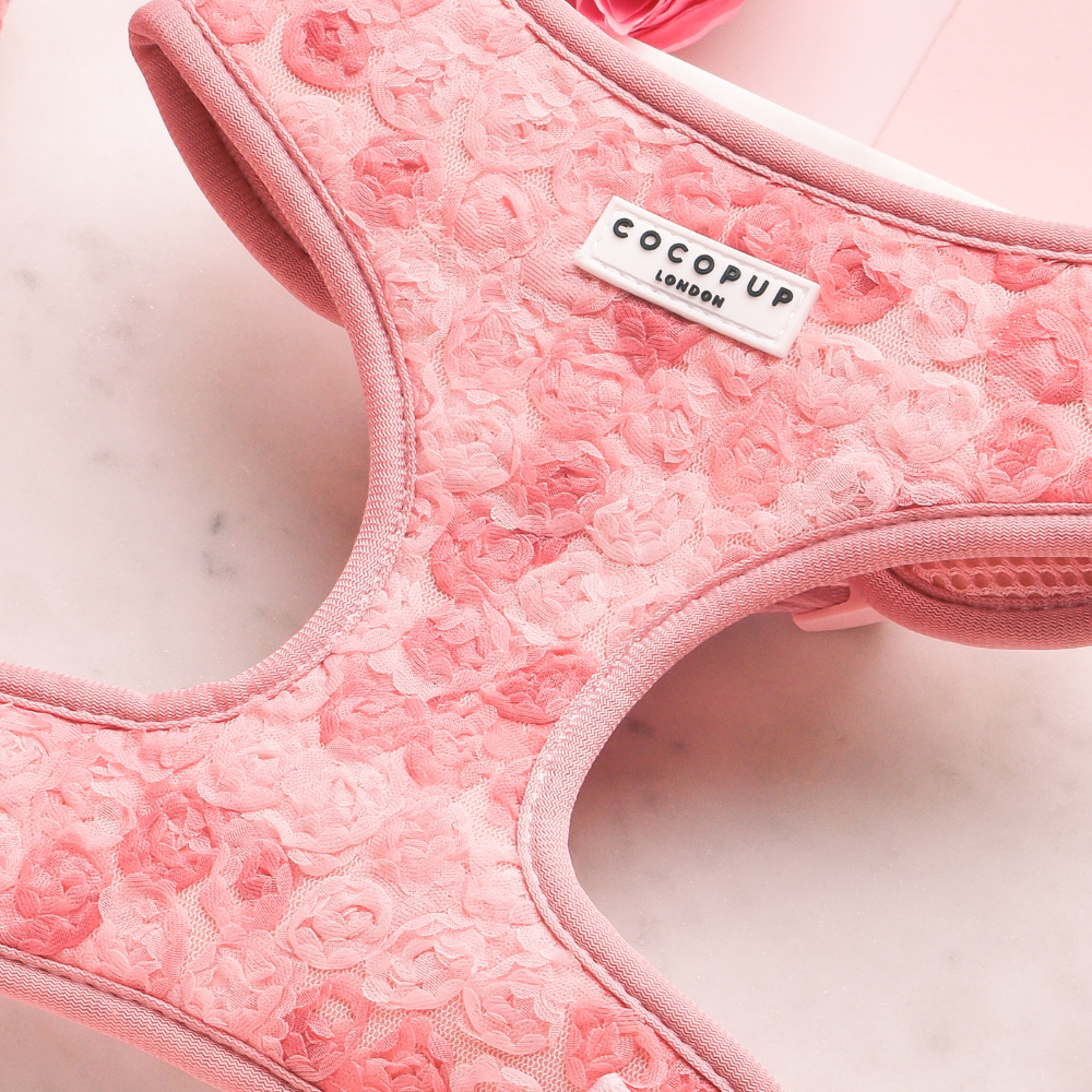 Arnés de cuello ajustable Peony Pup: M