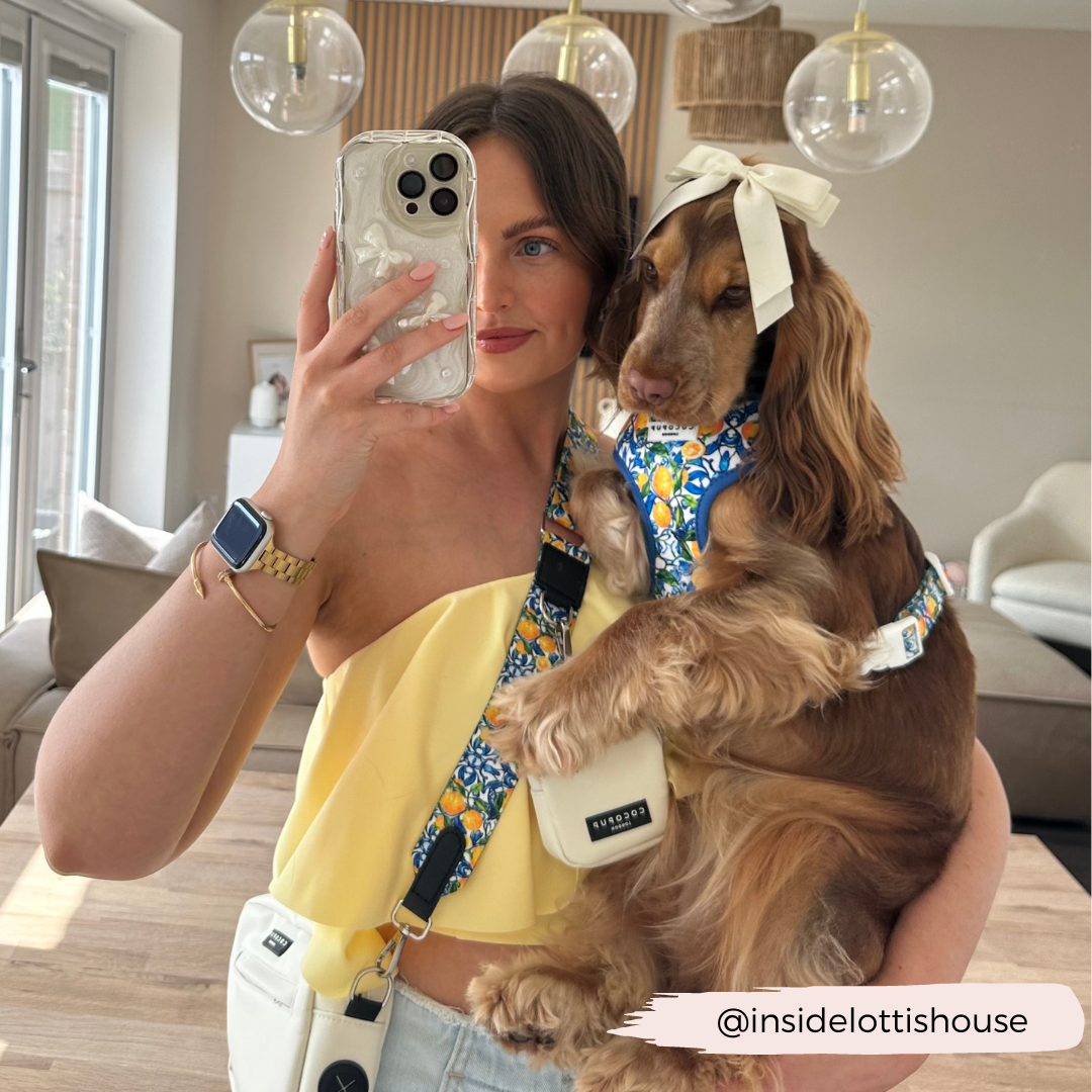 Arnés ajustable para perro con cuello estilo limón de Amalfi: M