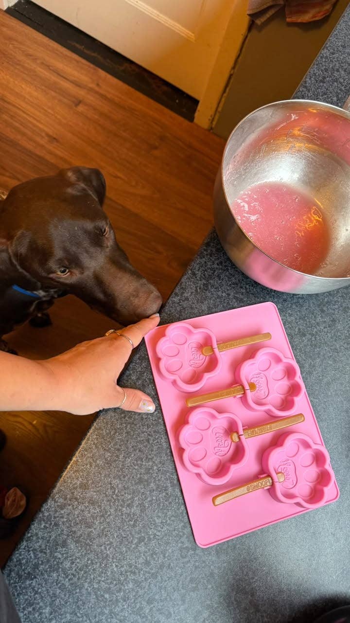 Mezcla de fresa para helado de perro