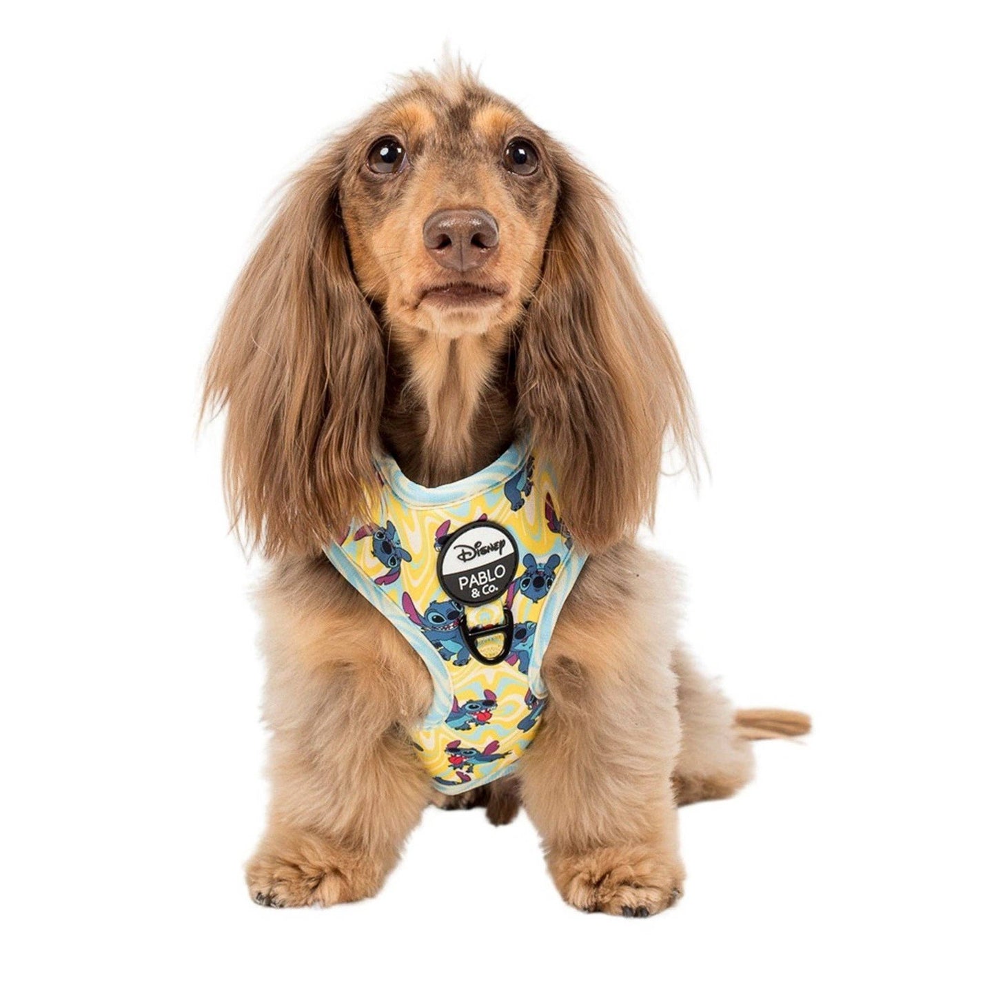 Psychedelic Stitch : harnais ajustable: Petit