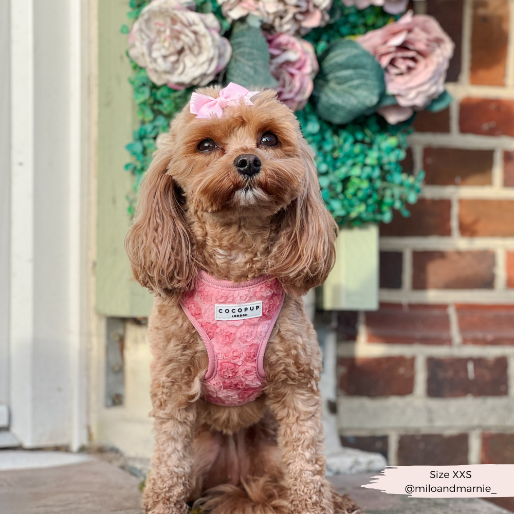 Arnés de cuello ajustable Peony Pup: M