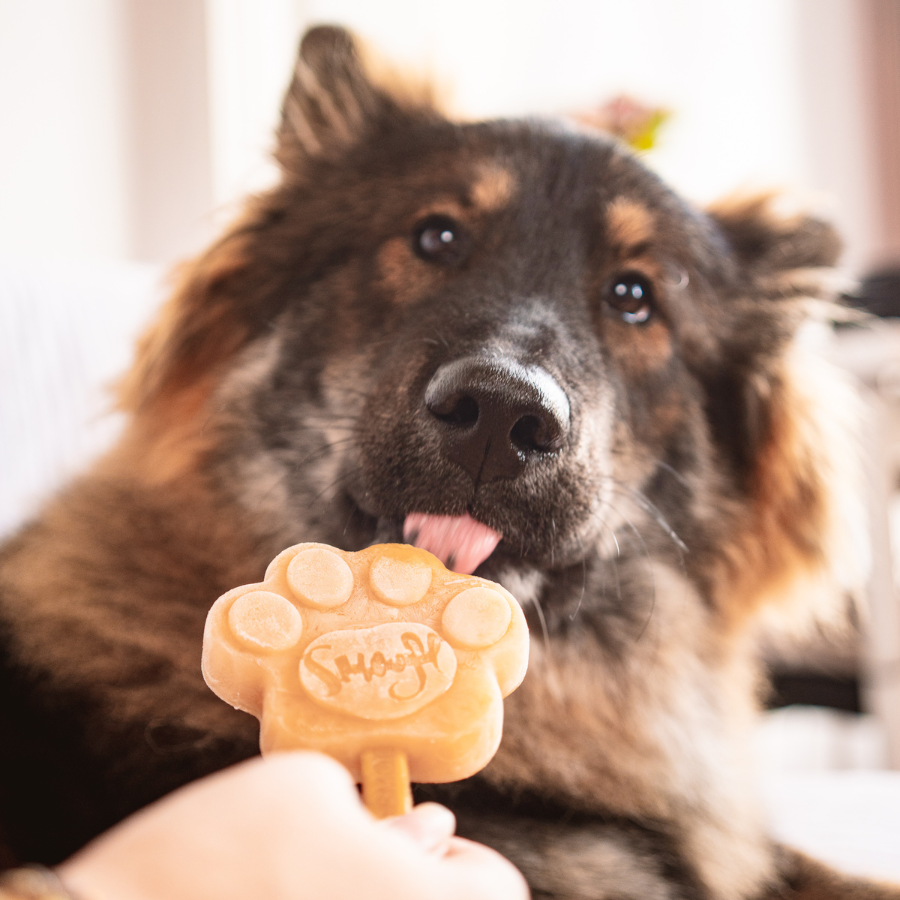 Mezcla cremosa de caramelo para helado de perro