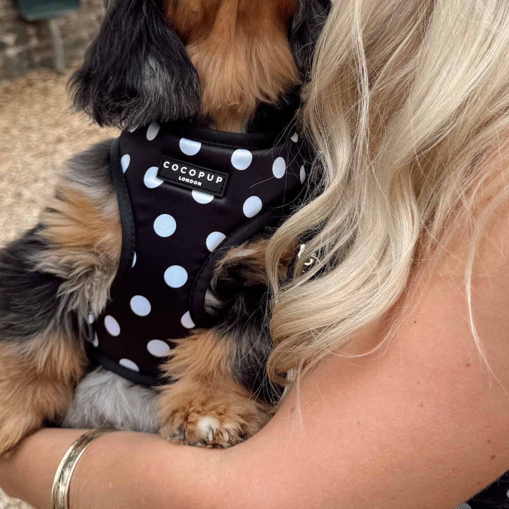 Harnais réglable pour chien en satin à pois: XS