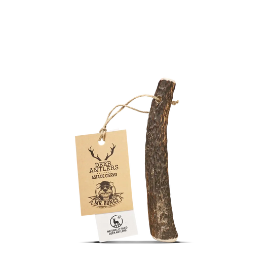 Mordedor natural para perros - Asta de Ciervo S (40-75 gr.)