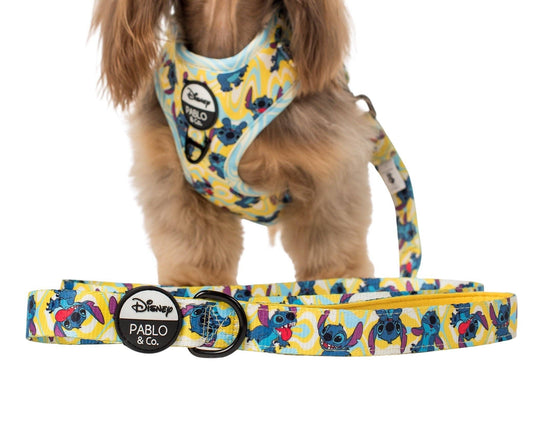 Psychedelic Stitch: correa para perro: 2.5cm