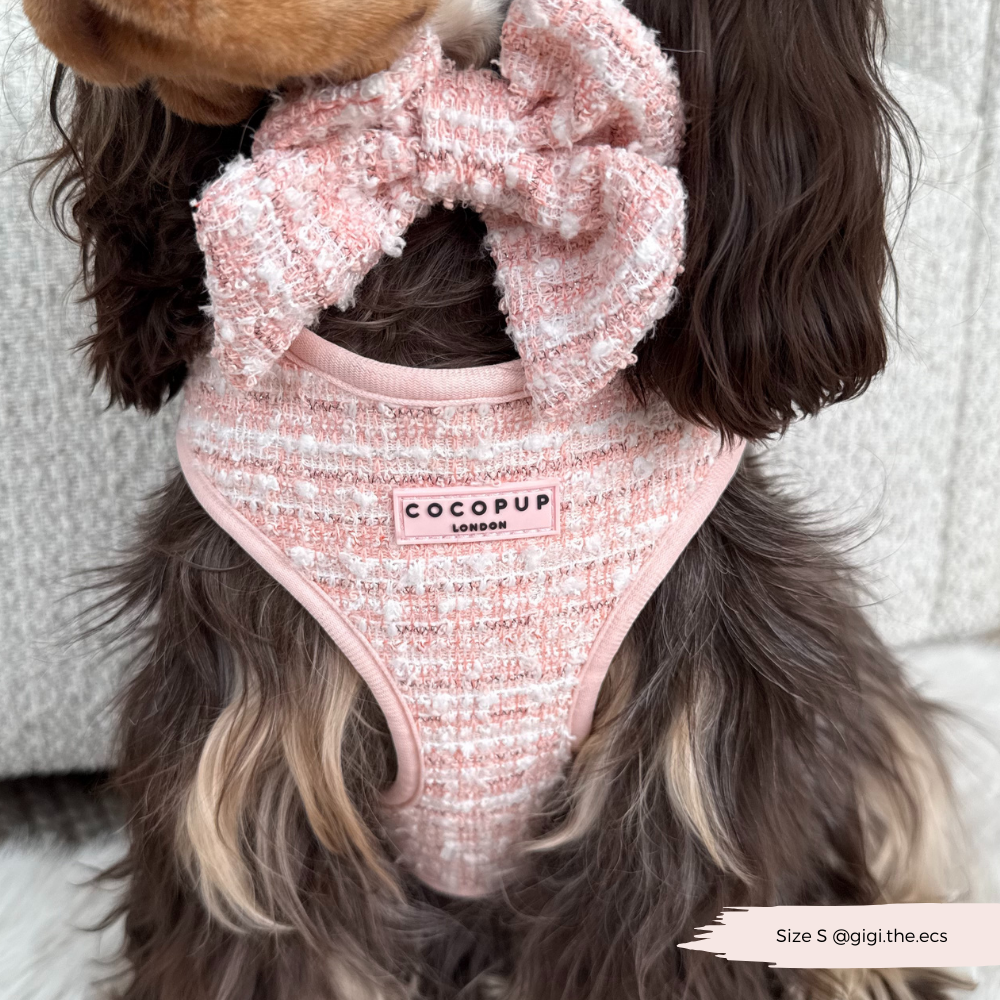 Nœud Papillon Marin en Tweed Texturé Rose