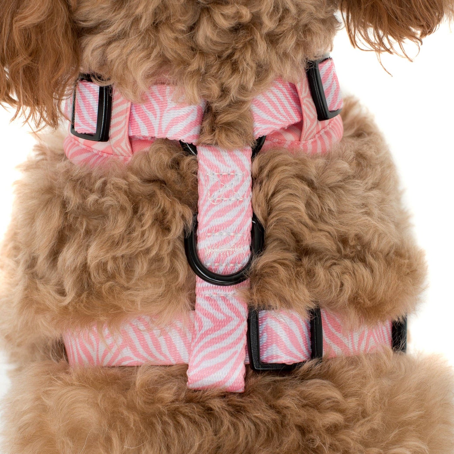Pink Zebra : HARNAIS AJUSTABLE POUR CHIEN: Petit