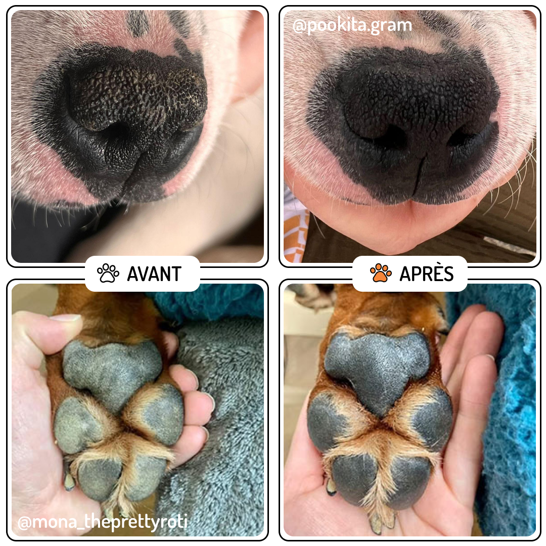 Bálsamo de Trufa y Almohadillas para perro y gato, "Velvet"