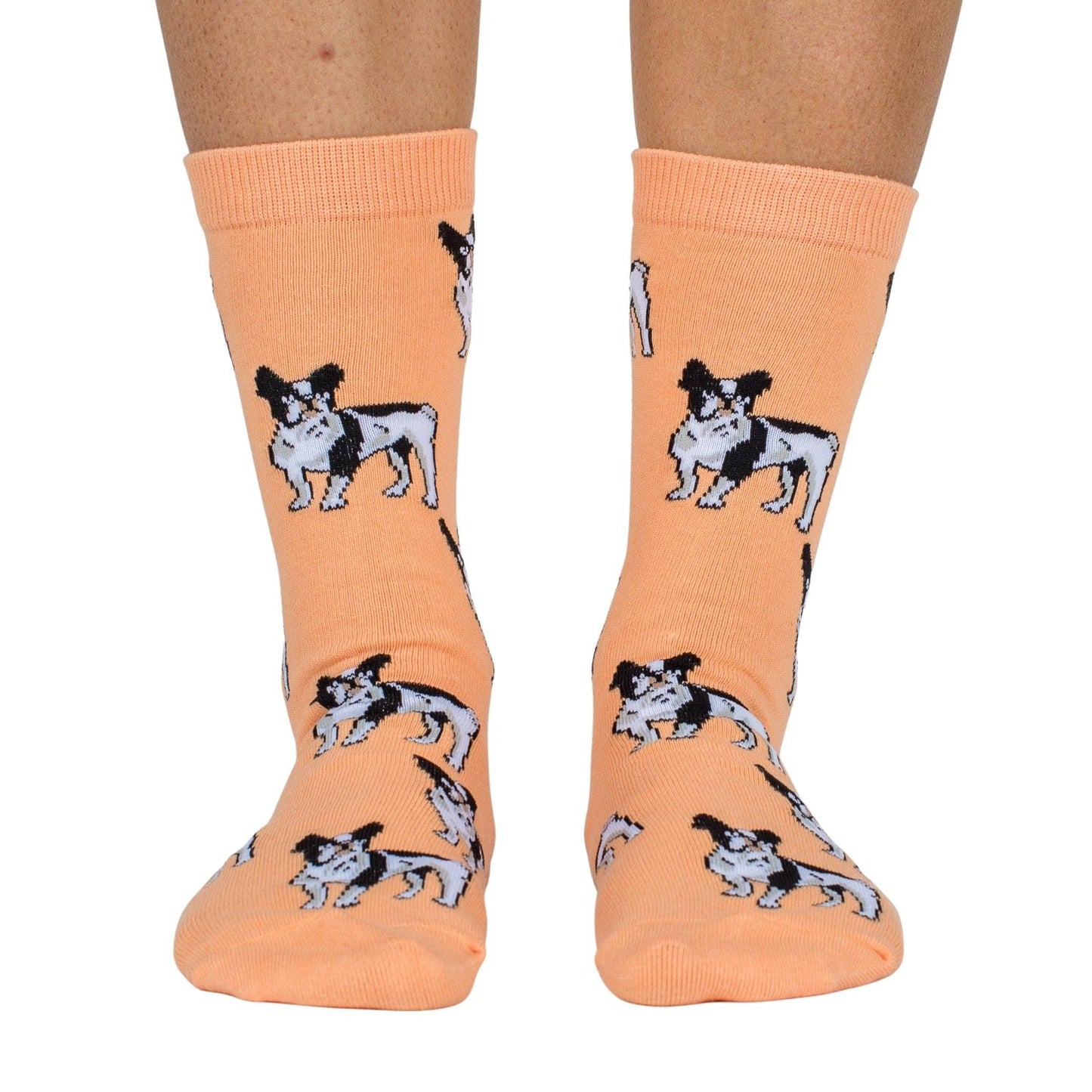 Chaussettes Dog Race: Teckel