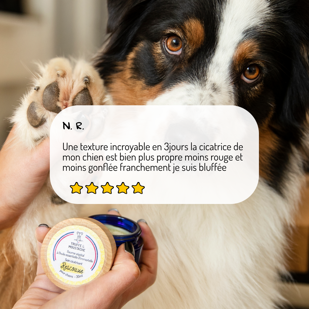 Bálsamo Curativo para Perros, "Rescate"