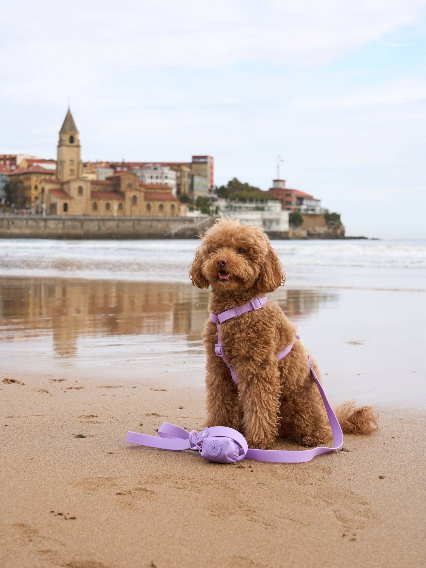 ARNÉS IMPERMEABLE PARA PERRO MORADO: M
