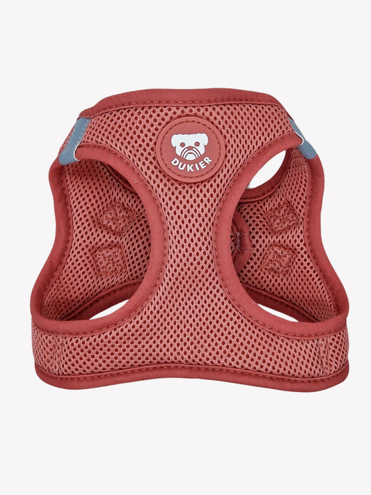 HARNAIS BODY CHIEN TERRACOTTA: S