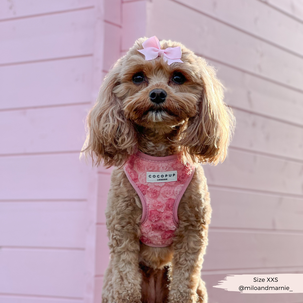 Arnés de cuello ajustable Peony Pup: M