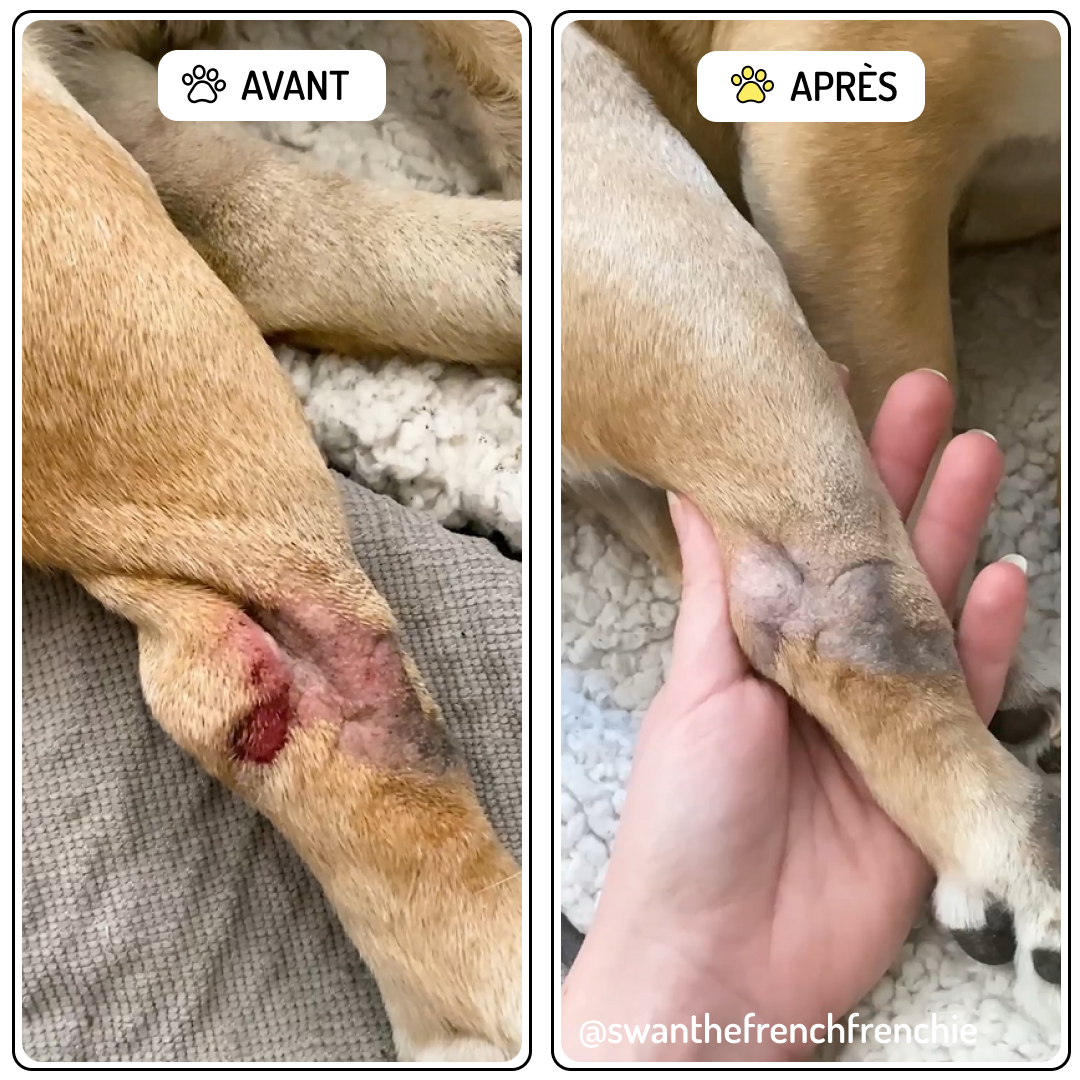 Bálsamo Curativo para Perros, "Rescate"