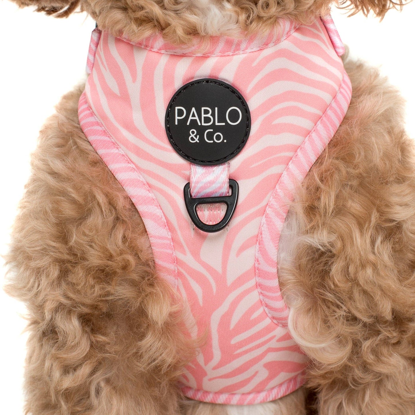 Pink Zebra : HARNAIS AJUSTABLE POUR CHIEN: Petit