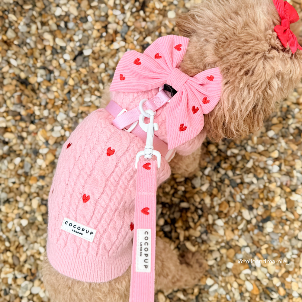 Cuerda de Corazón Rosa