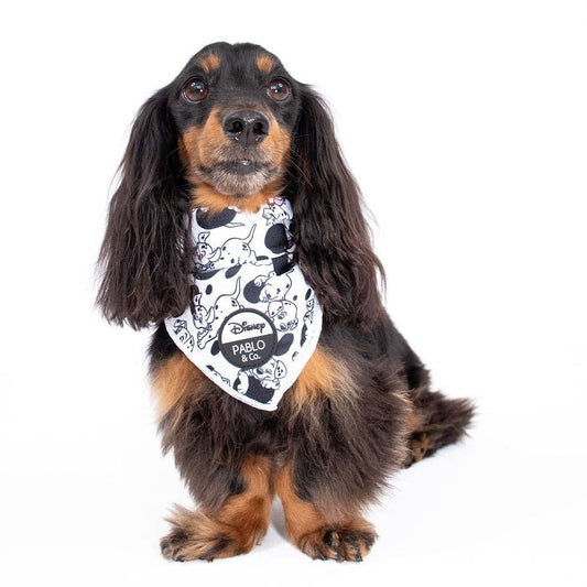 101 Dálmatas: Bandana para perro