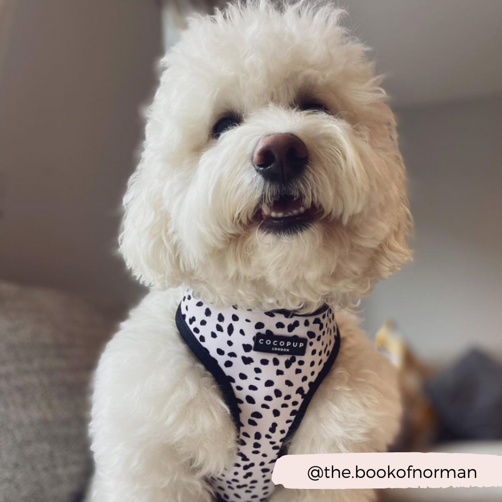 Arnés Ajustable para Perro con Estampado de Manchas Monocromáticas: M