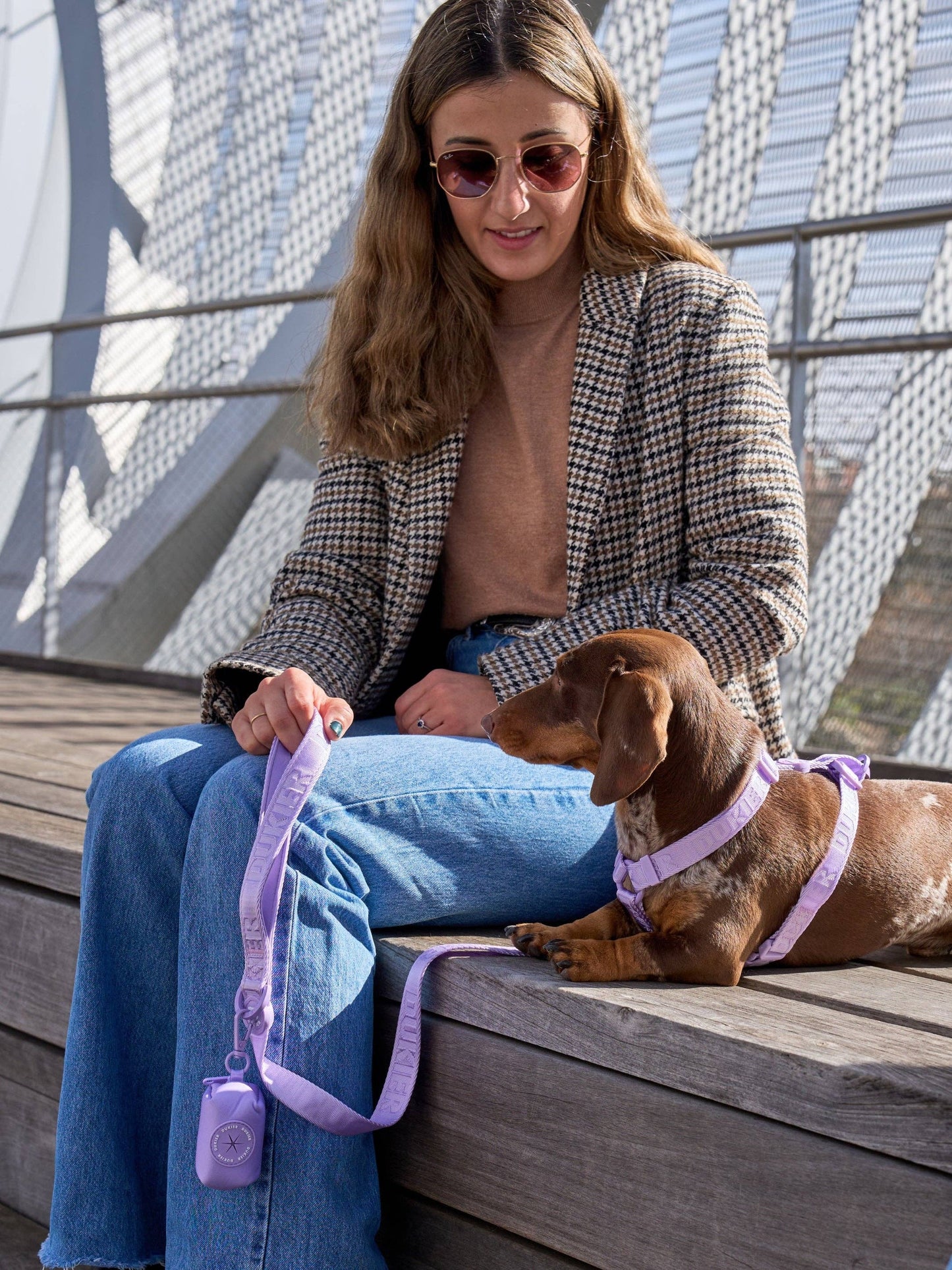 CORREA PARA PERRO VIOLETA