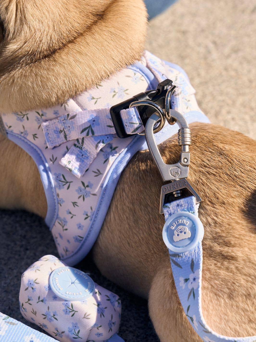 HARNÉS BODY PARA PERRO BLOOM: XS