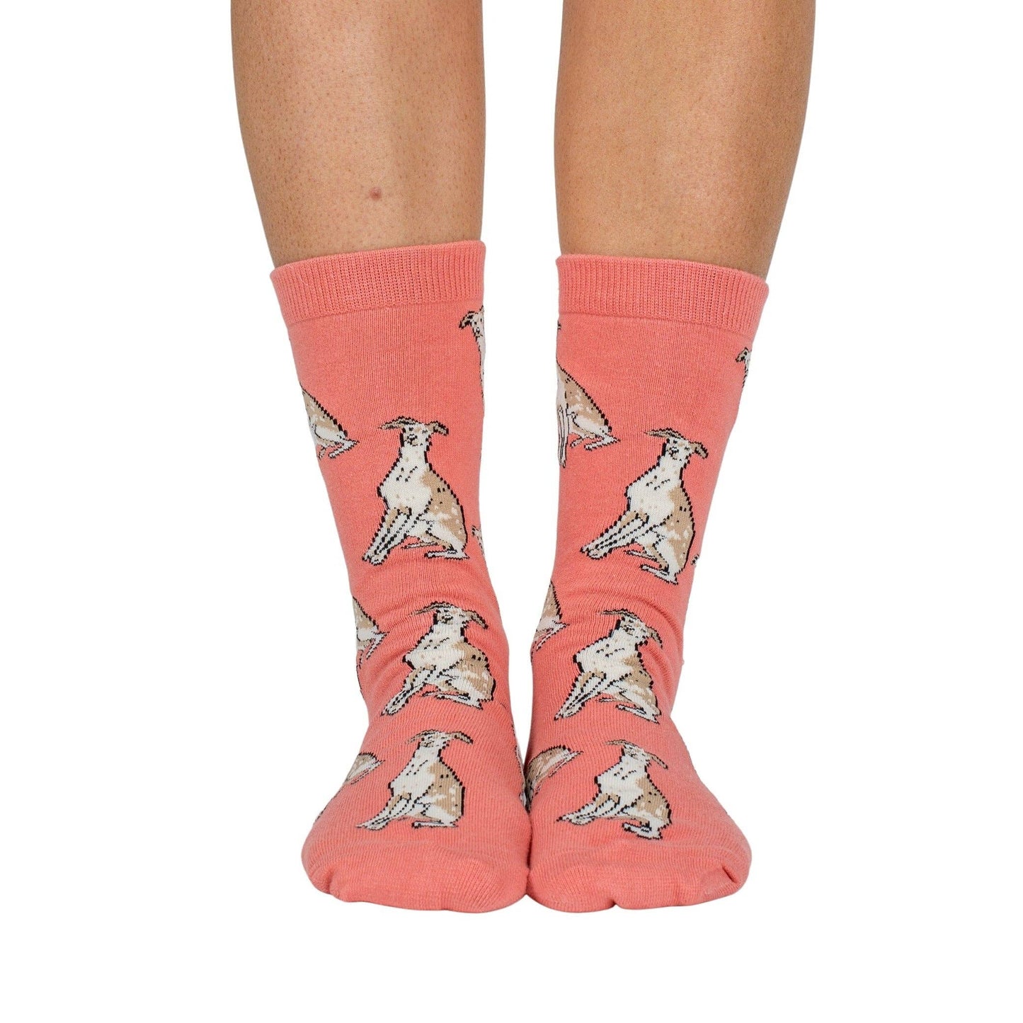 Chaussettes Dog Race: Poméranie