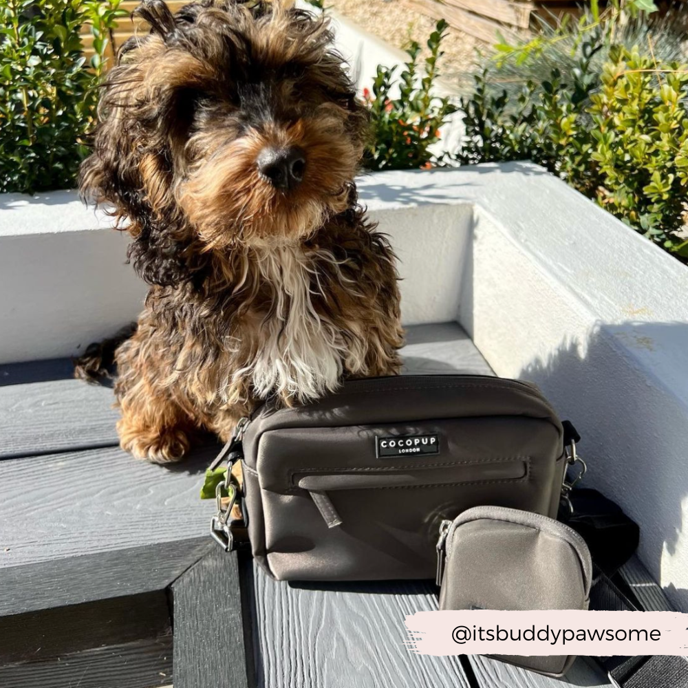 Bolsa para pasear perros - Moka