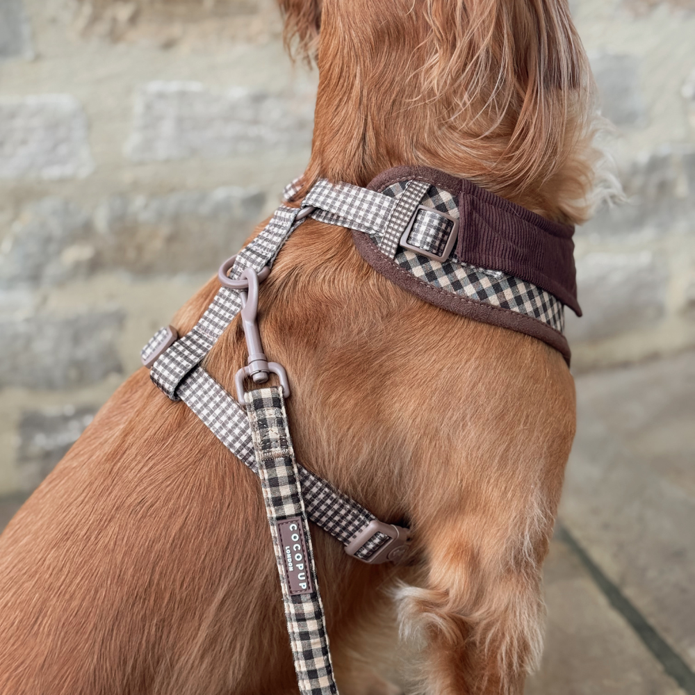 Arnés de cuello ajustable Cotswolds Check: S