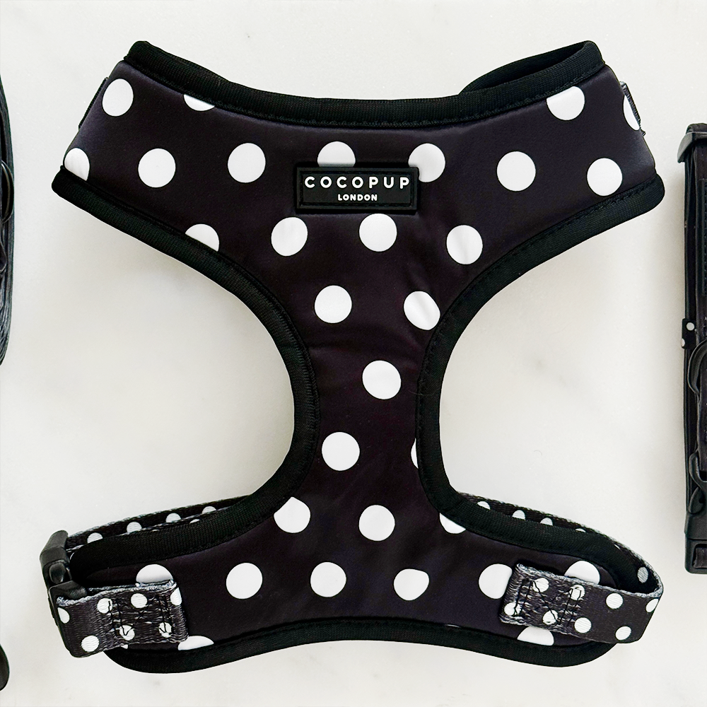 Harnais réglable pour chien en satin à pois: XS