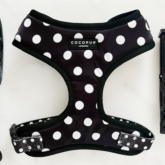 Harnais réglable pour chien en satin à pois: XS