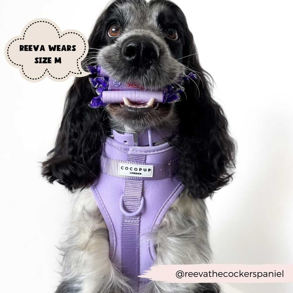 Arnés ajustable para perro NAKD Parma Violets: M