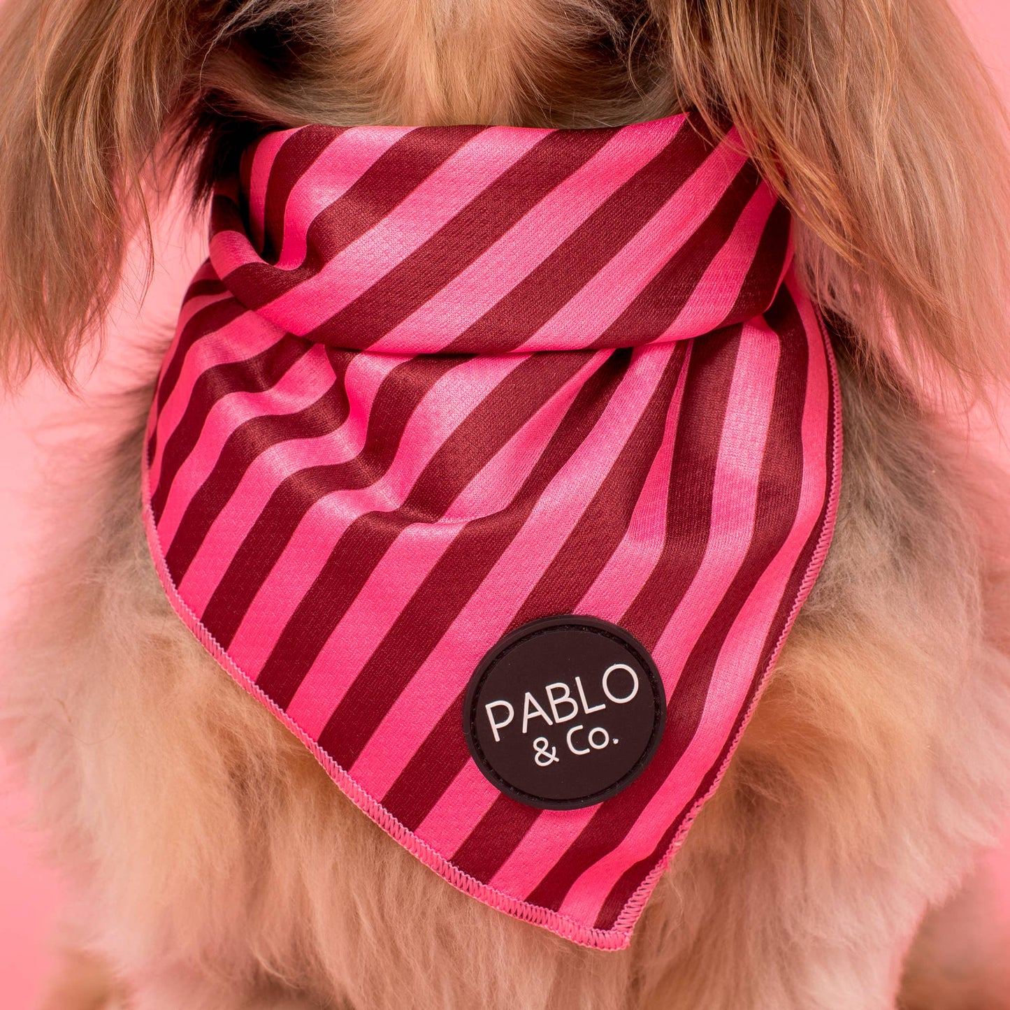 Rayures Rougissantes : Bandana pour Chien: Petit
